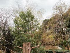 -苏州河梦清园环保主题公园