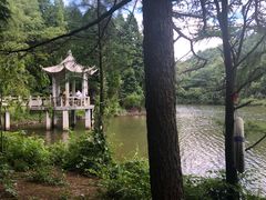 -四明山国家森林公园