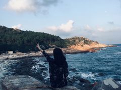 -广东惠东海龟国家级自然保护区