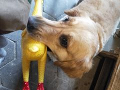 -浔岚云舍mist静谧观景美宿(丽江古城店)