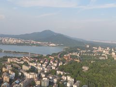 -紫峰大厦