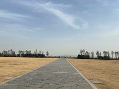 -贡湖湾湿地公园