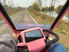 -合肥滨湖国家森林公园