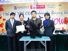 -优缇多格专业宠物美容师培训学校
