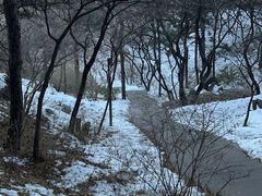 -香山公园