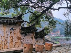 -杨家堂村