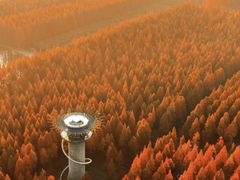 -黄海国家森林公园