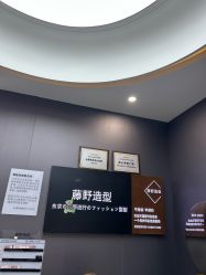 -藤野造型烫染