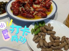 -杨氏青龙虾·羊蝎子(托乐嘉店)