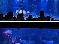 -台州海洋世界