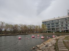 -廊坊文化艺术中心