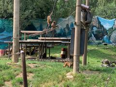 -北京野生动物园