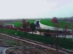 -合肥滨湖国家森林公园