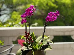 -杭州香格里拉·香宫中餐厅