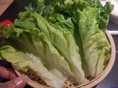生菜-淼福猪肚鸡·椰子鸡火锅(大沙地店)
