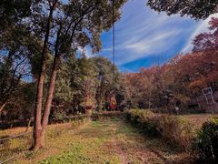 -WeLope紫金山探险公园