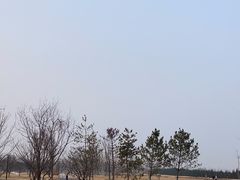 -汉长安城未央宫国家考古遗址公园