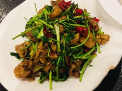 干煸肥肠-湘肠香火锅店(团结湖店)