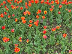 -长春公园(普阳街道)