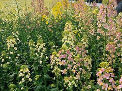 -中国天府农业博览园