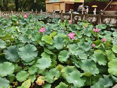 -钱王祠