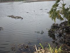 -白鹭湾湿地公园