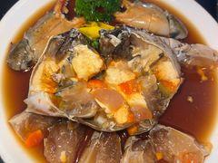 -三酉星·枫·山風与野菜(上海总店)