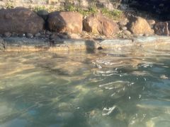 -崇阳三特浪口温泉