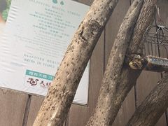 -天赐温泉