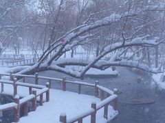 -水磨沟公园