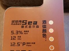 -Ambra Haus琥珀屋精酿餐厅(宝山店)