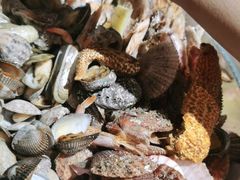 -永红源啤酒·烧烤·海鲜·大排档(青特城店)