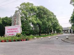 -上海海湾国家森林公园