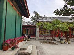 -宫事颐庭·老佛爷贵寿下午茶(颐和园店)