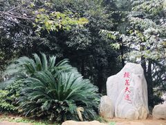 -武汉大学-樱园