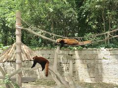-上海野生动物园