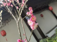 -南京市民俗博物馆(甘熙故居)