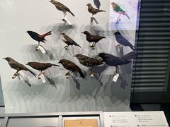 -四川大学博物馆