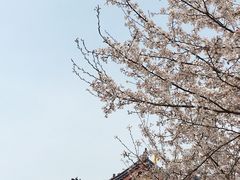 -水上明月·湖景餐厅