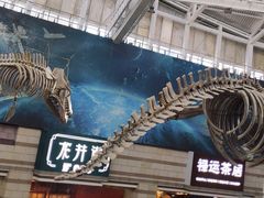 -正佳自然科学博物馆