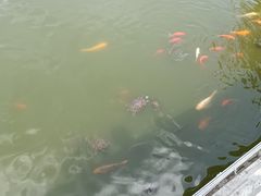 -西禅古寺售票处