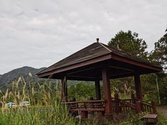 -海南热带雨林国家公园吊罗山景区