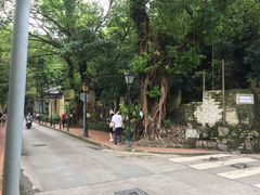 -喜莲咖啡
