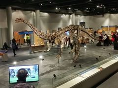 -香港科学馆