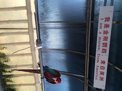 iphone_upload_pic-百鸟园