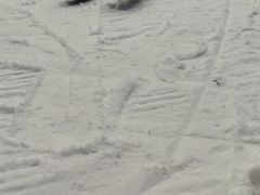 -长沙湘江冰雪世界