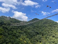 -千岛湖石林