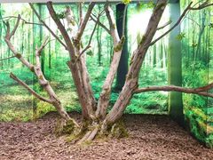 -极简口腔(总院)