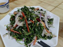 -煲来饱去冷水鱼