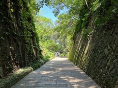 -乌山风景区